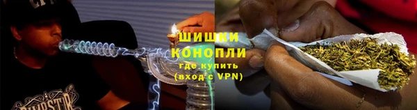 гашик Аркадак
