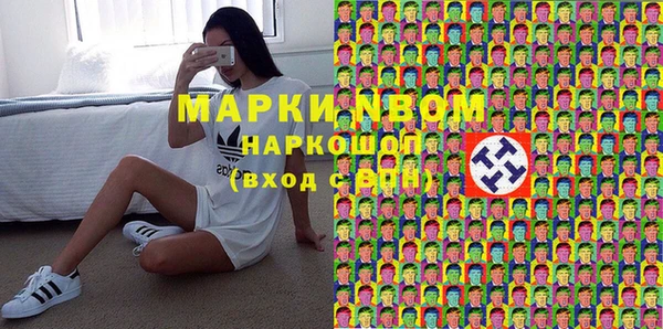 гашик Аркадак