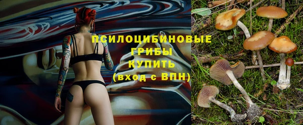 гашик Аркадак
