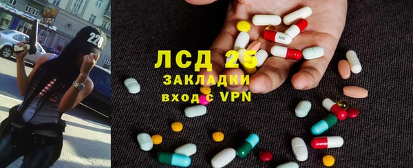 гашик Аркадак
