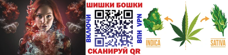 Шишки марихуана MAZAR  гидра ссылки  сайты даркнета какой сайт  Дорогобуж 